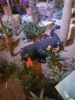 Albums/20200303-Kew Gardens/11